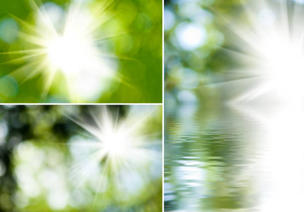 istock sun in the blurry natural green background closeup 958753664