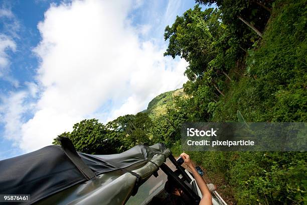 Jungle Safari Adventure Stock Photo - Download Image Now - 4x4, Off-Road Vehicle, Adventure