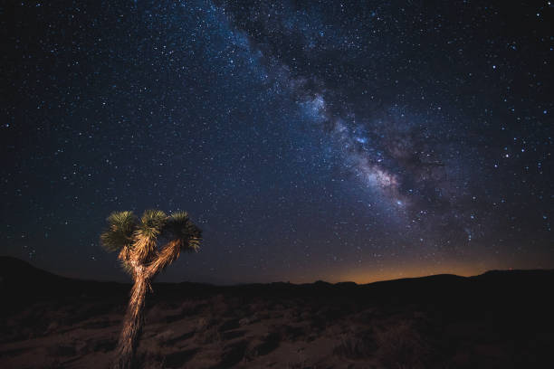 Death Valley at night under the Milky Way stock photo