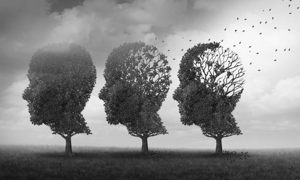 Concept Of Memory Loss Concept of memory loss and brain aging due to dementia and alzheimer's disease as a medical icon with fall trees shaped as a human head losing leaves with 3D illustration elements. schizophrenia photos stock pictures, royalty-free photos & images