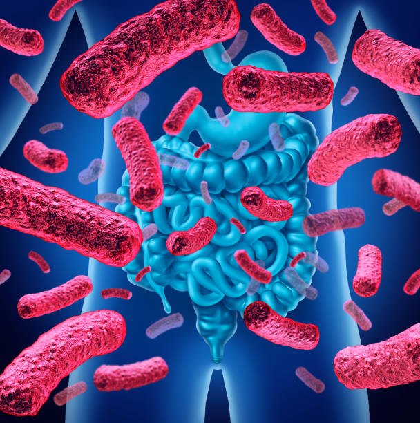 bacterias del intestino - gut bacteria fotografías e imágenes de stock