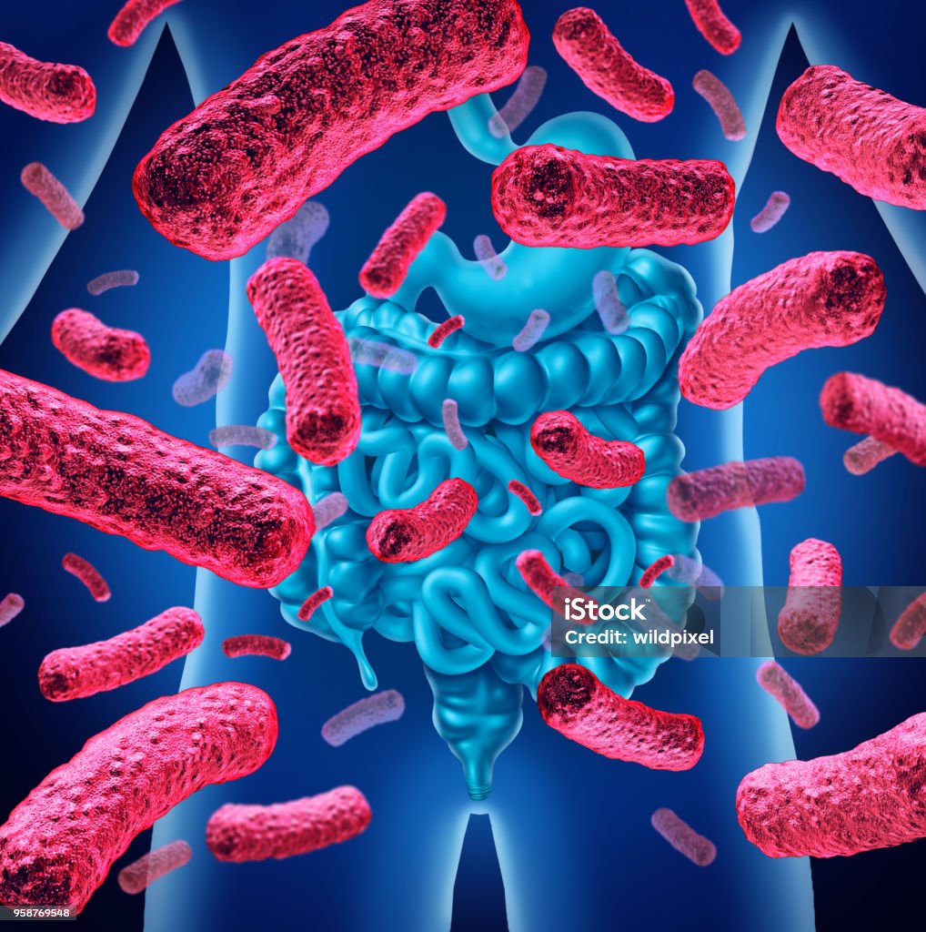 Intestine Bacteria Intestine bacteria and gut flora or intestinal bacterium medical anatomy concept as a 3D illustration. Human Gastrointestinal Microbiota Stock Photo