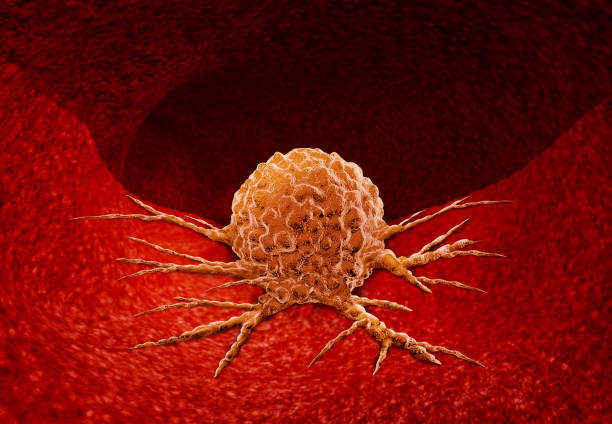 istock Cancer Anatomy Concept 958769930