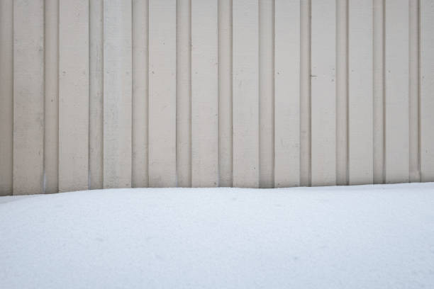winter landscape