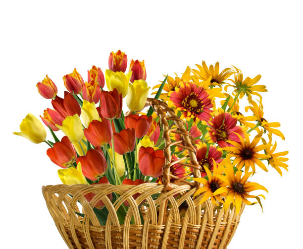 Isolated image of flowers in a basket on white background closeup