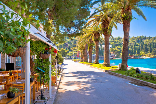 Tourist waterfront street in Cavtat view, Adriatic coastline in Dalmatia region of Croatia Tourist waterfront street in Cavtat view, Adriatic coastline in Dalmatia region of Croatia cavtat photos stock pictures, royalty-free photos & images