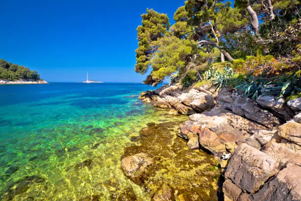 Idyllic turquoise stone beach in Cavtat, Adriatic sea, Dalmatia region of Croatia