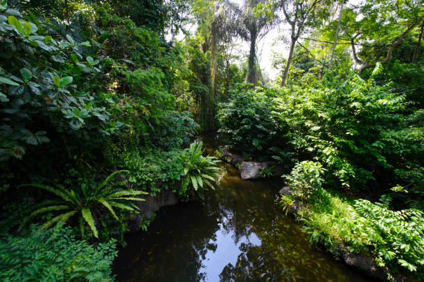 istock Landscape with river, tree and green grass in spring 958783088