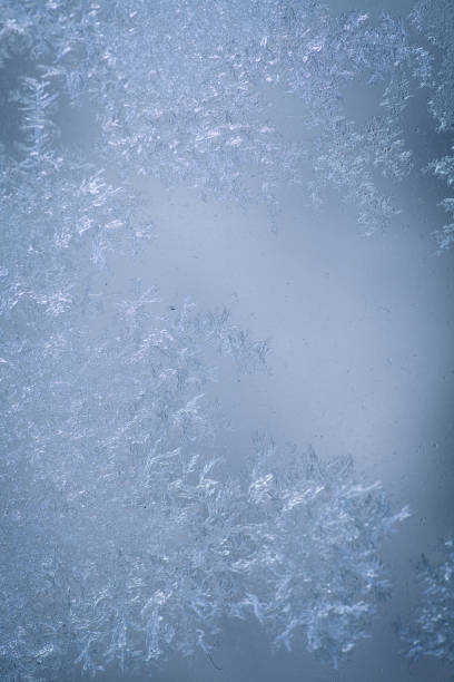istock Icy flowers on a frozen window 958787076