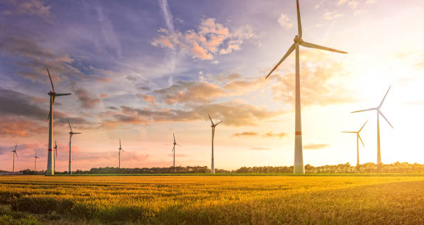 campo turbina eolica - wind turbine fuel and power generation clean industry foto e immagini stock