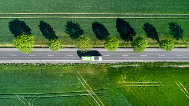 Road through agricultural area, aerial view