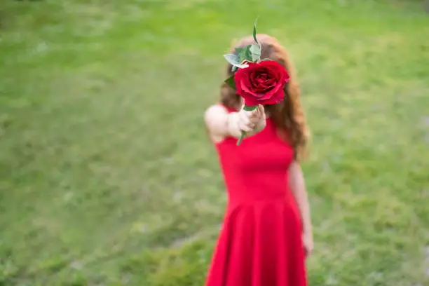 Photo of Woman in red with a rose in front of her face