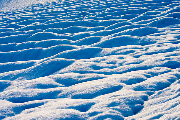 snow field stock photo