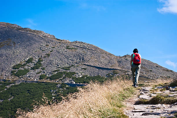 istock hiking tourist going to the mountain top 95879880