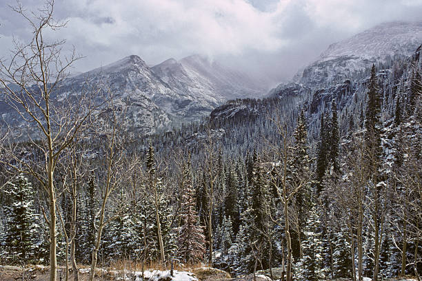 Early Snow in the Rockies This early snowfall scene was photographed near the Continental Divide on the Dream Lake Trail in Rocky Mountain National Park, Colorado, USA. jeff goulden rocky mountain national park stock pictures, royalty-free photos & images