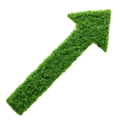 Grass growing in the shape of an arrow, symbolising the care and dedication needed for progress, success and profit in business.