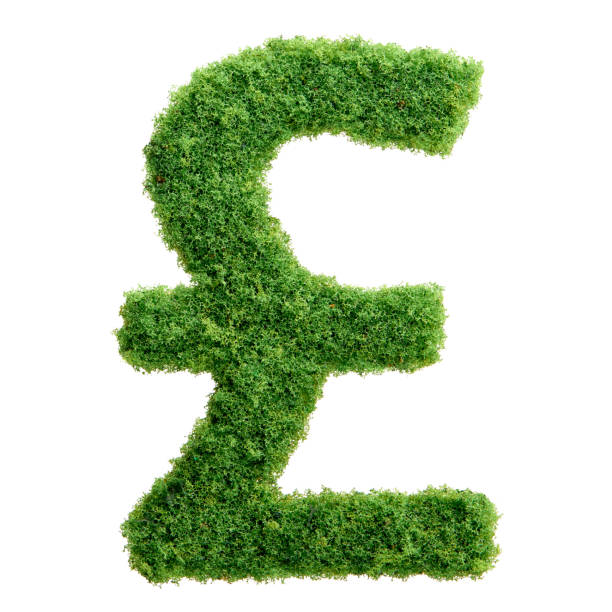 herbe verte eco britannique livre symbole monétaire isolé - pound symbol environment grass currency photos et images de collection