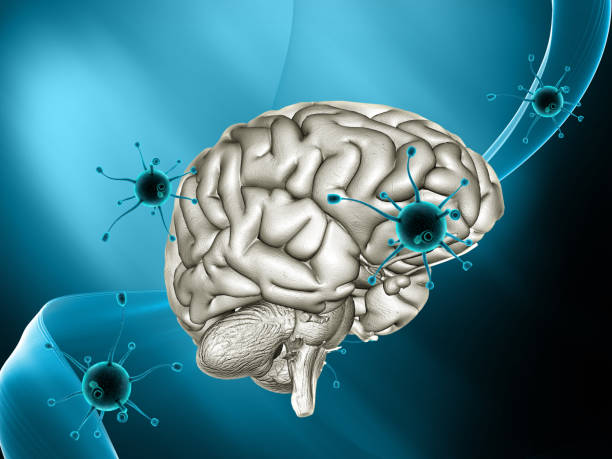 istock 3D medical background with virus cells attacking a brain 958812114