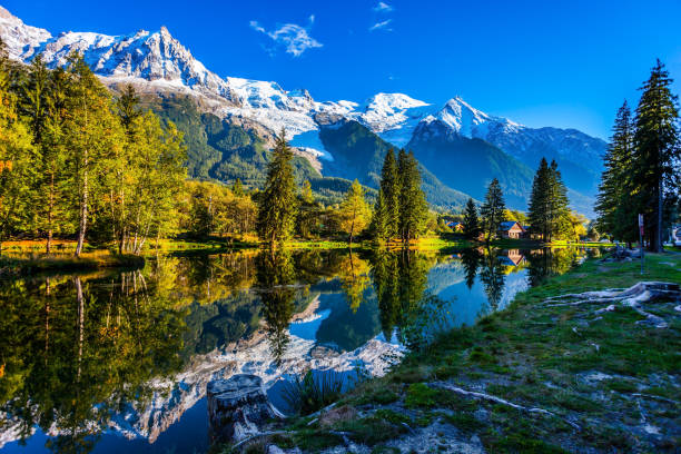 Snowy Alps Concept of active and ecotourism. Large stump on the shore of the lake. Snowy Alps are reflected in the lake. Magically beautiful park in the mountain resort of Chamonix auvergne rhône alpes stock pictures, royalty-free photos & images