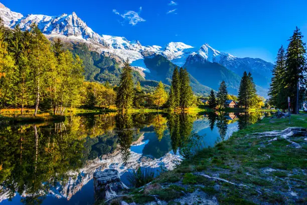 Concept of active and ecotourism. Large stump on the shore of the lake. Snowy Alps are reflected in the lake. Magically beautiful park in the mountain resort of Chamonix