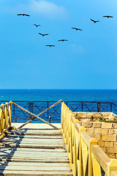 istock Flock of migratory birds flies 958813736