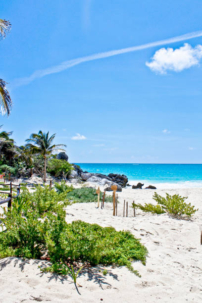 méxico - praias paradisíacas - mayan riviera - fotografias e filmes do acervo