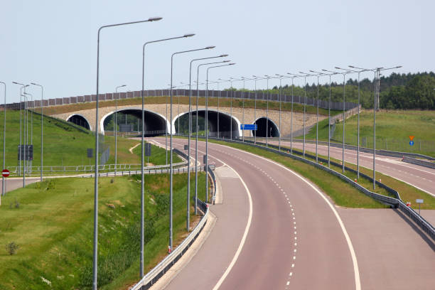 istock Wildlife overpass on A4 autostrada highway in Eastern Poland 958824692