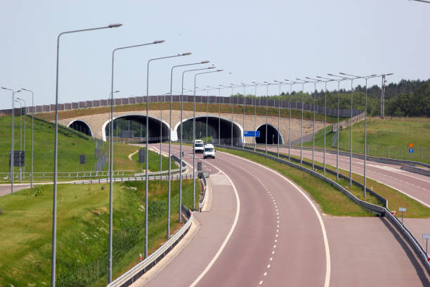 istock Wildlife overpass on A4 autostrada highway in Eastern Poland 958824782