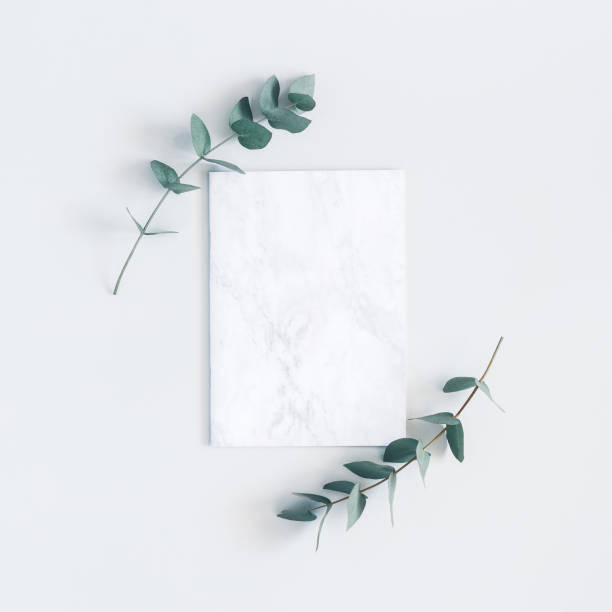 Marble paper blank, eucalyptus branches. Flat lay, top view, square