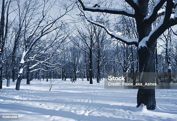 Foto de O Parque De Inverno e mais fotos de stock de Azul - Azul, Beleza natural - Natureza, Branco