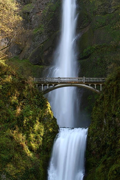 istock Multnomah Falls, Columbia Gorge, Oregon 95884776