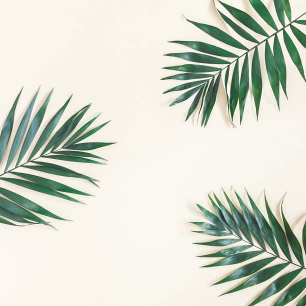 istock Tropical palm leaves on yellow background. Flat lay, top view 958872322