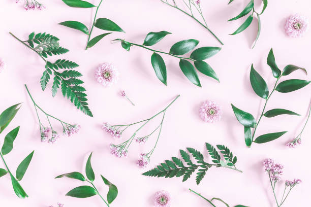 istock Pink flowers green leaves on pink background. Flat lay 958872494