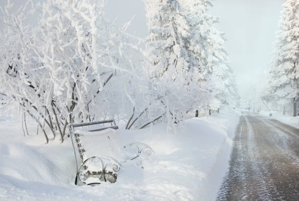 istock Winter forest with trees covered snow. White frost park landscape. 958875198