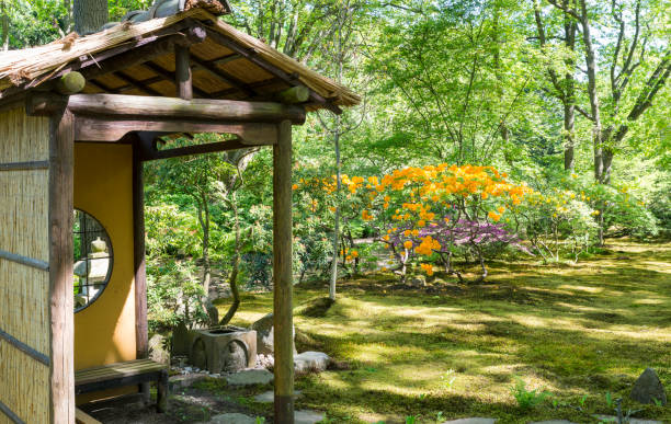 istock park clingendael in the hague holland 958878216