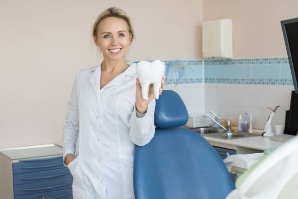 istock Pretty Female Dentist Holding Tooth Model 958878874