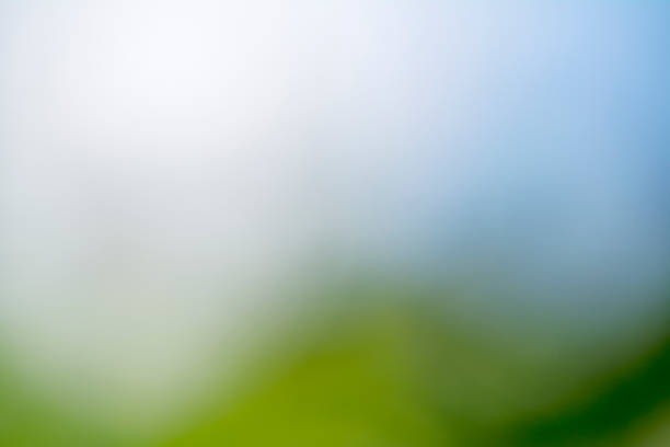 istock abstract blurry beautiful natural green background 958883232