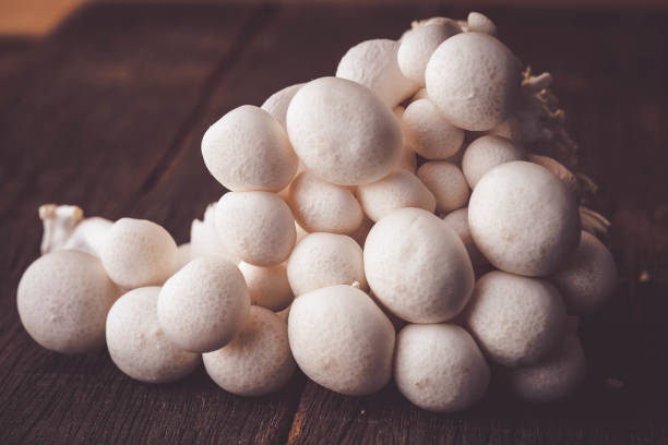 istock Mushrooms on the wood table raw materials for cooking 958886706