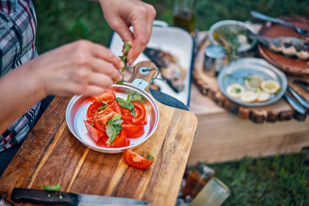 Fresh Grilled Fish with Lemon with Tomato Salad for Having Picnic Outside