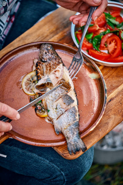 istock Fresh Grilled Fish with Lemon with Tomato Salad for Having Picnic Outside 958887350
