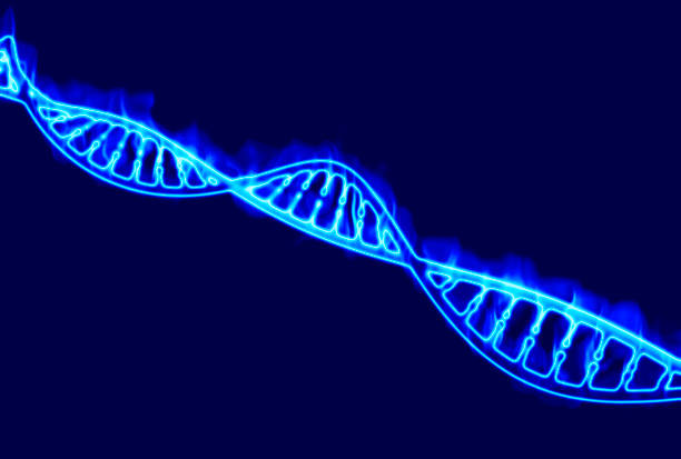 istock DNA, burning DNA helix, deoxyribonucleic acid is a nucleic acid that contains genetic information. Fire and flames. 958888018