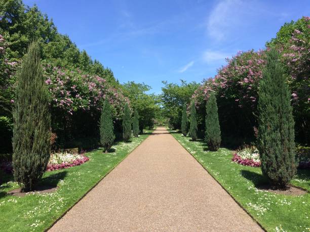 istock Regent's Park in London 958891158