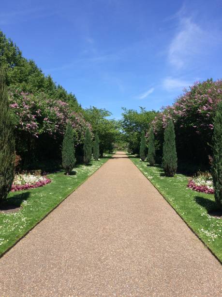 istock Regent's Park in London 958891160