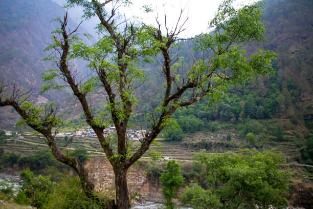 istock Image of beautiful nature at uttarakhand india 958895898