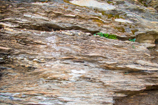 istock Image of beautiful nature at uttarakhand india 958895904