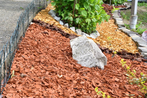 istock decorative rock garden stone with colored wood 958919064