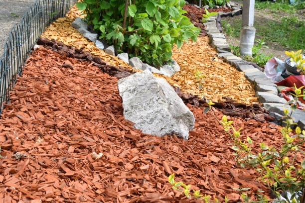 istock decorative rock garden stone with colored wood 958919070