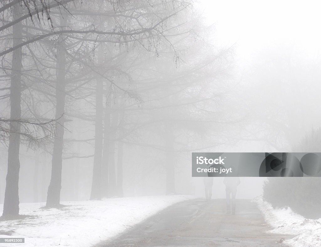 Parque de invierno - Foto de stock de Aire libre libre de derechos