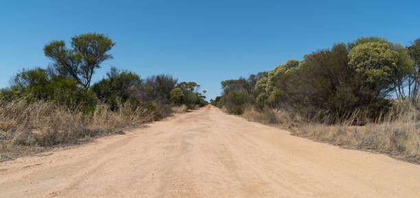 istock Road, Outback of Western Australia 958924582
