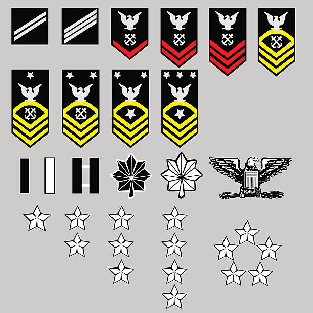 ilustraciones, imágenes clip art, dibujos animados e iconos de stock de marina norteamericana enlisted y funcionario rang insignias en formato vectorial - rango militar
